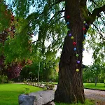 فندق مبيت وإفطار La Cle De Saule Saint-Maclou-de-Folleville