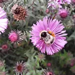 La Cle De Saule فندق مبيت وإفطار