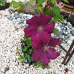 La Cle De Saule فندق مبيت وإفطار 3*