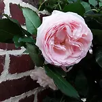 فندق مبيت وإفطار La Cle De Saule