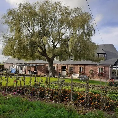 La Cle De Saule