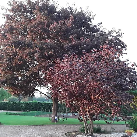 Bed & Breakfast La Cle De Saule Saint-Maclou-de-Folleville