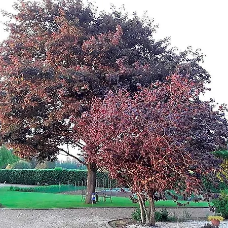 La Cle De Saule Alojamento de Acomodação e Pequeno-almoço Saint-Maclou-de-Folleville